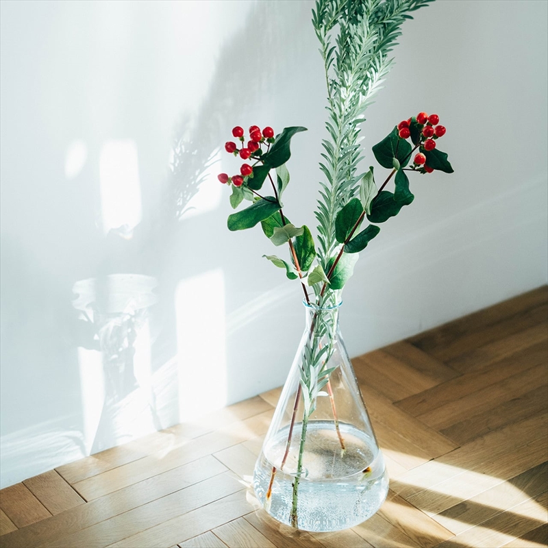 HARIO RELAXING 大型三角フラスコ花瓶 ナチュラルインテリアにおすすめ