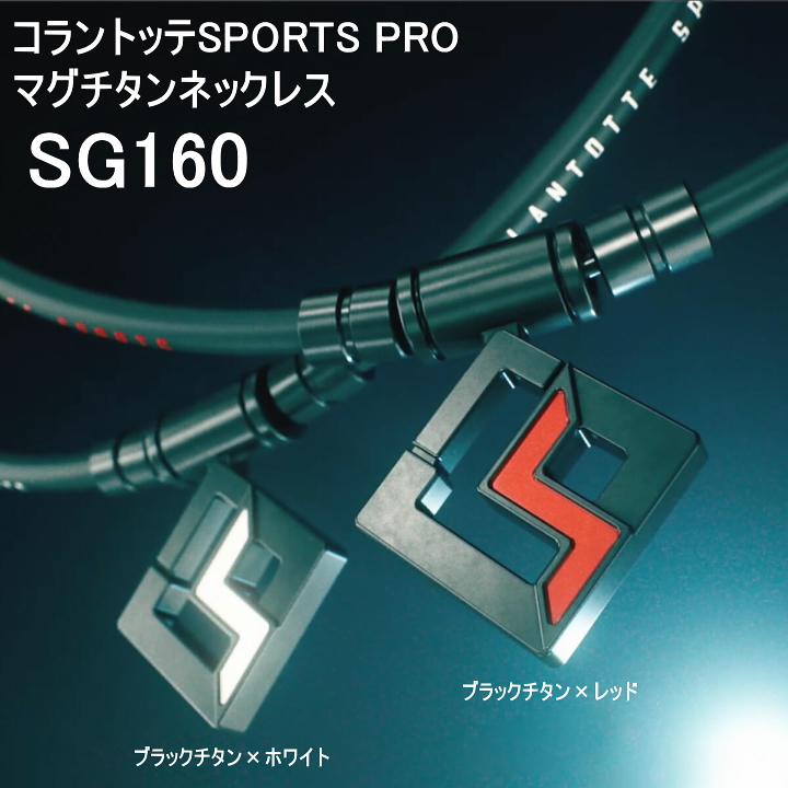 sg160-3.jpg