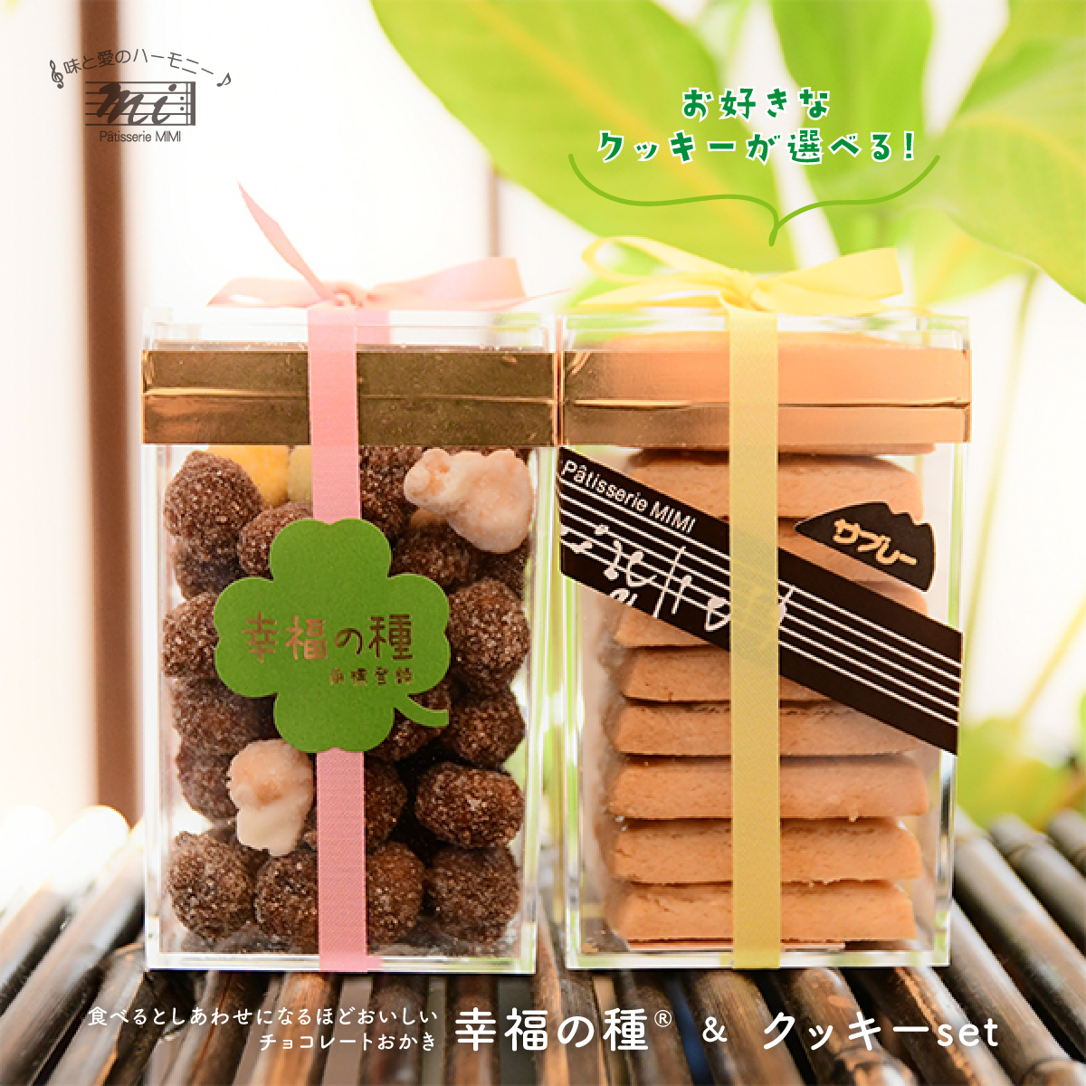 幸福の種＆クッキーセット 選べるクッキー2BOXセット バレンタイン