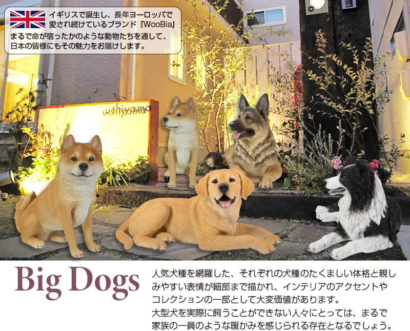 うつぶせ ジャーマンシェパード 76.5 x 38.5 41 cm (幅x奥x高) 本物