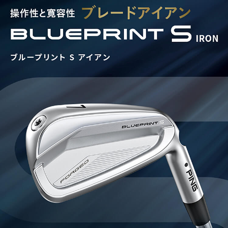 PING（ピン） BLUEPRINT S アイアン5本セット(#6-PW) DG EX TOUR ISSUE