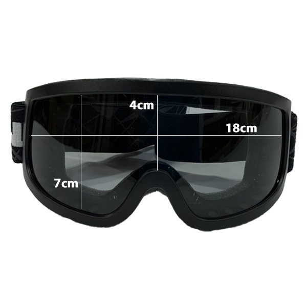 スワンズ swans スキーゴーグル 595S : スポーツ・イング - 通販