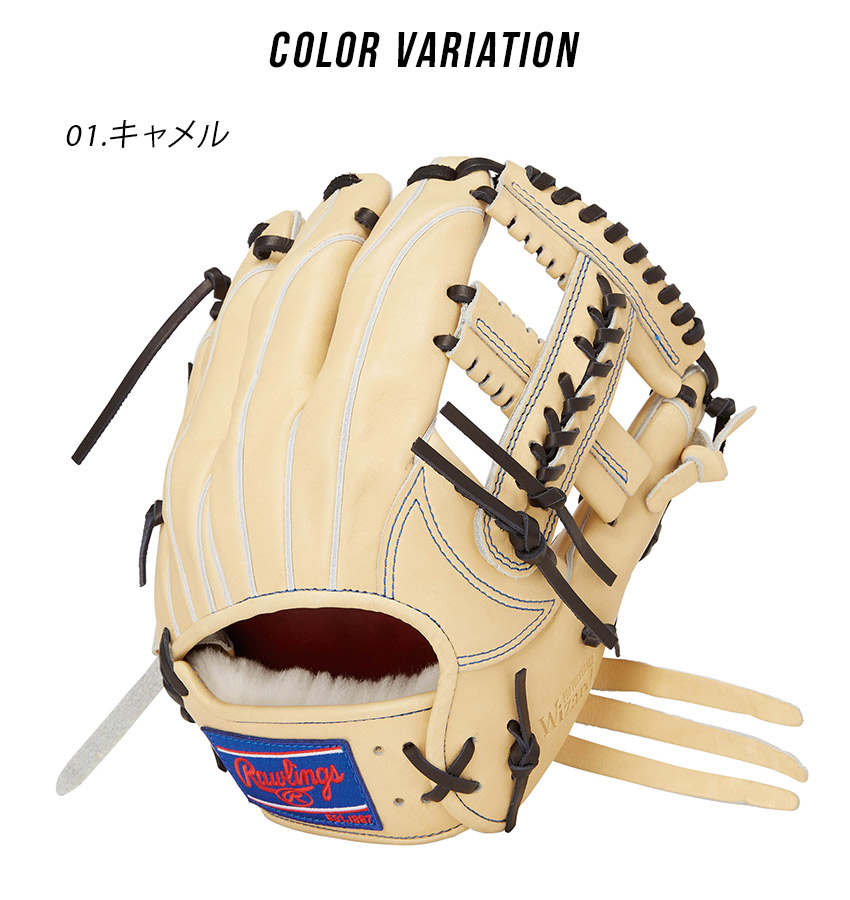 Rawlings（ローリングス） グローブ 大人 一般 Rawlings GH4PW2CK4MG
