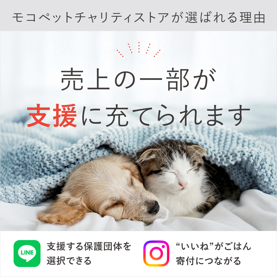 新東北化学工業 フォーキャット ゴールド 7L / 猫砂 鉱物 猫用