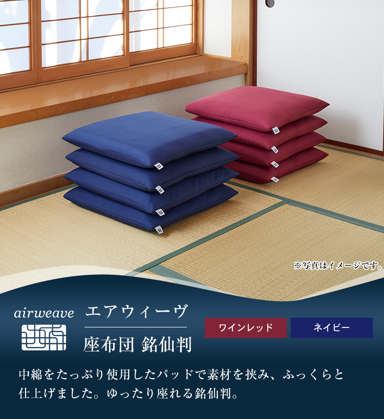 エアウィーヴ（airweave） 座布団 銘仙判 クッション ビッククッション