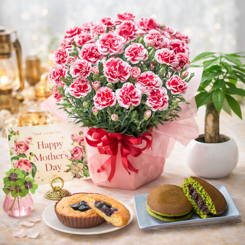 吉本花城園 母の日 プレゼント 2026 花 カーネーション いちごホイップ