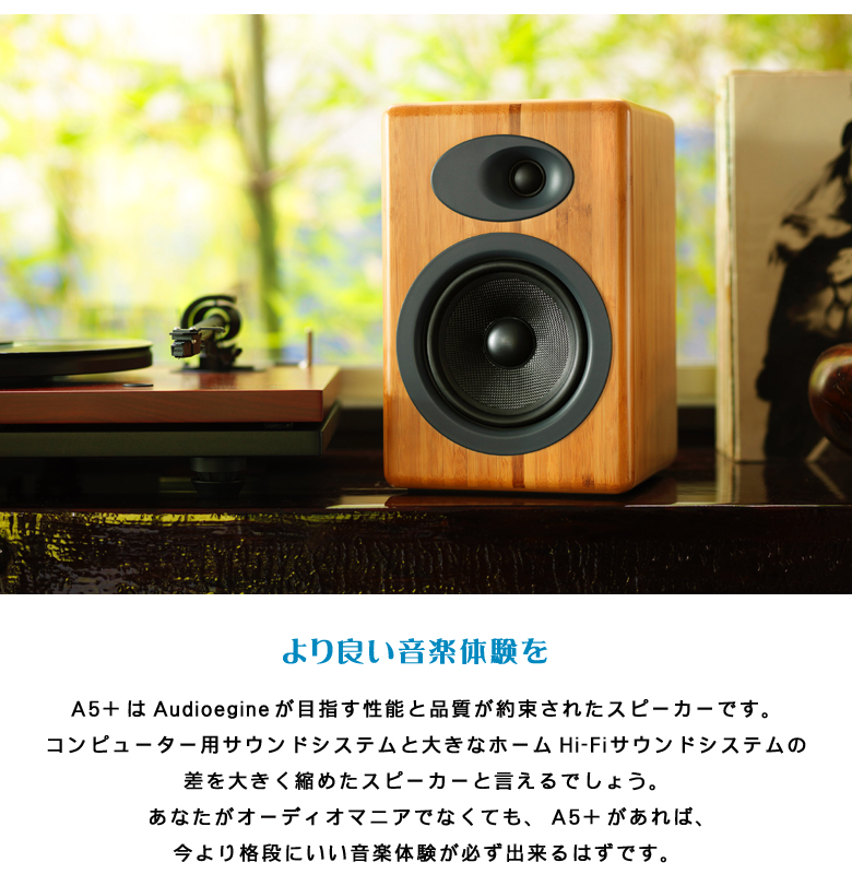 価格帯を超えた圧倒的な高音質を実現 Audioengine A5+ パワード
