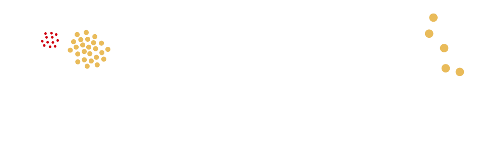 福箱 HAPPY FUKUBAKO 2025｜国産野菜の贅沢スープ｜野菜をMOTTO Yahoo