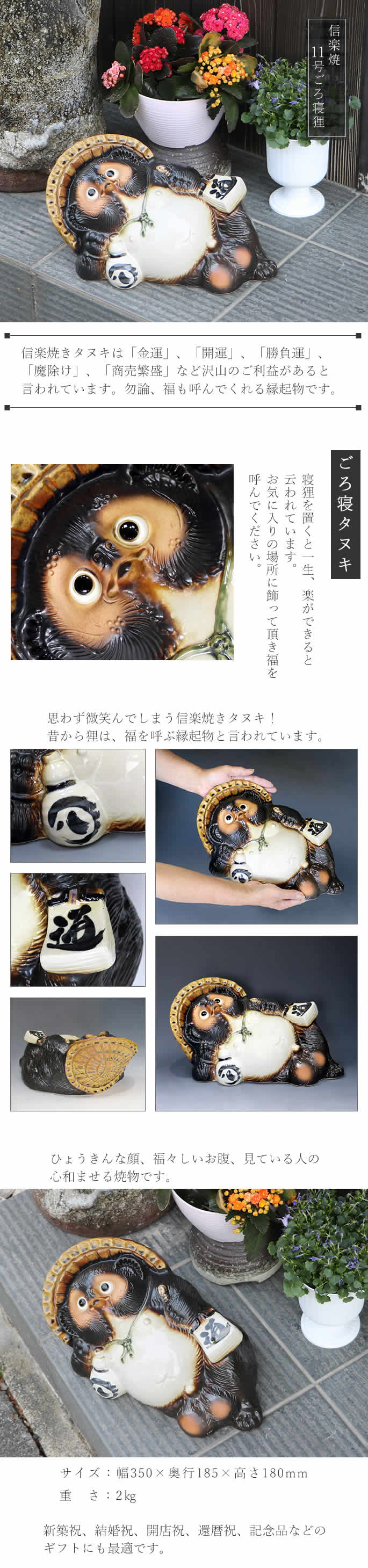 信楽焼 ごろ寝狸 たぬき 置物 開運 縁起物 ギフト 開店祝 かわいい