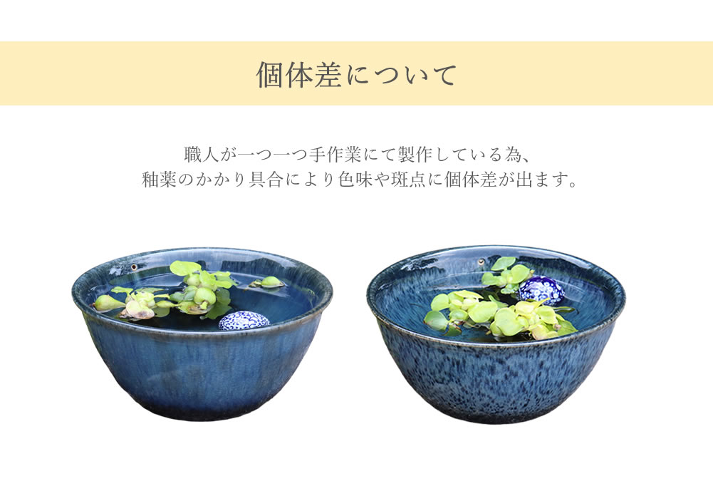 信楽焼 睡蓮鉢 メダカ鉢 金魚鉢 スイレン メダカ 鉢 大型 ビオトープ