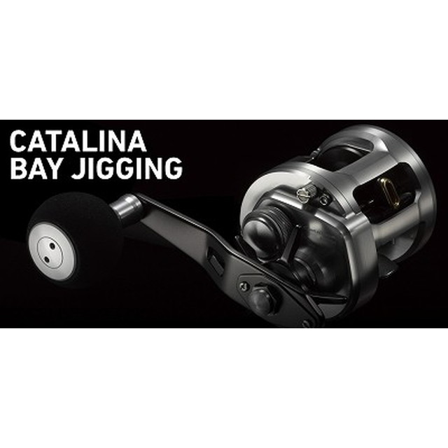 ダイワ（Daiwa） 15キャタリナ BJ100SH－L （左