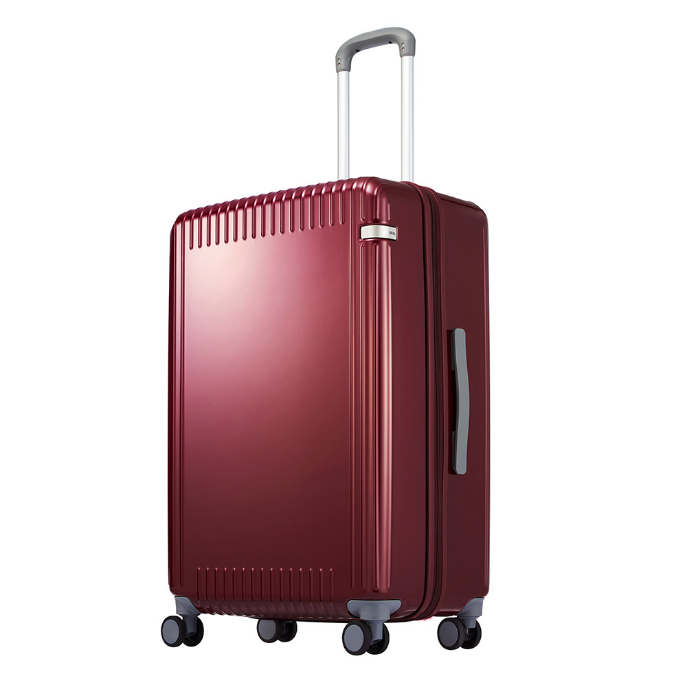 ace.TOKYO パリセイド3Z 74L 65cm 06915ﾎﾜｲﾄ（ﾎﾜｲﾄ）