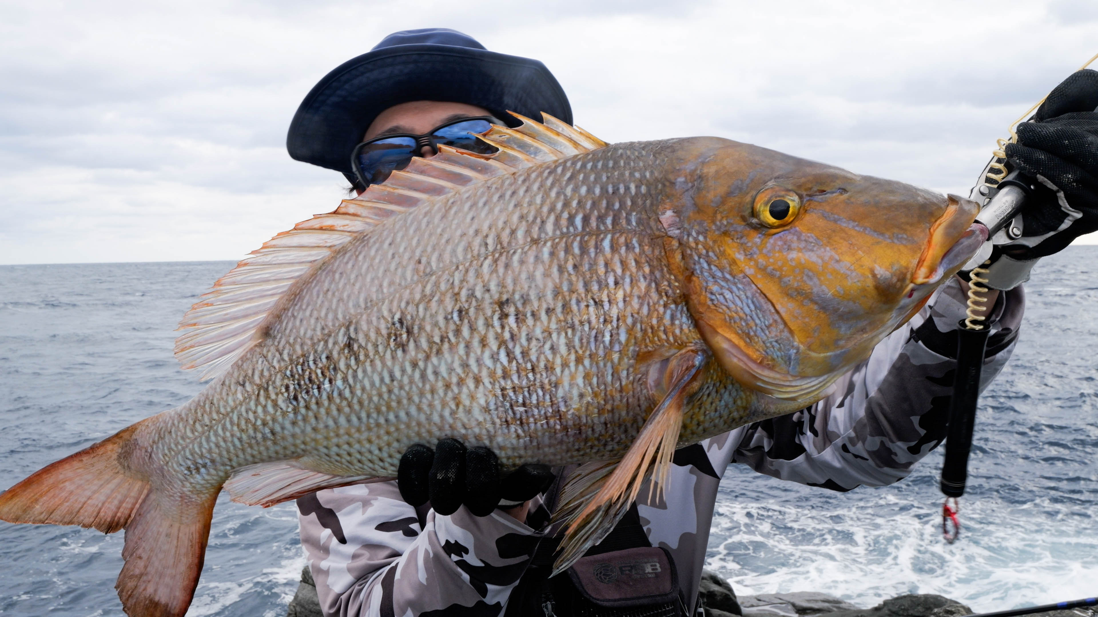 WILD SEEKER 453H-S (ワイルドシーカー453H-S)