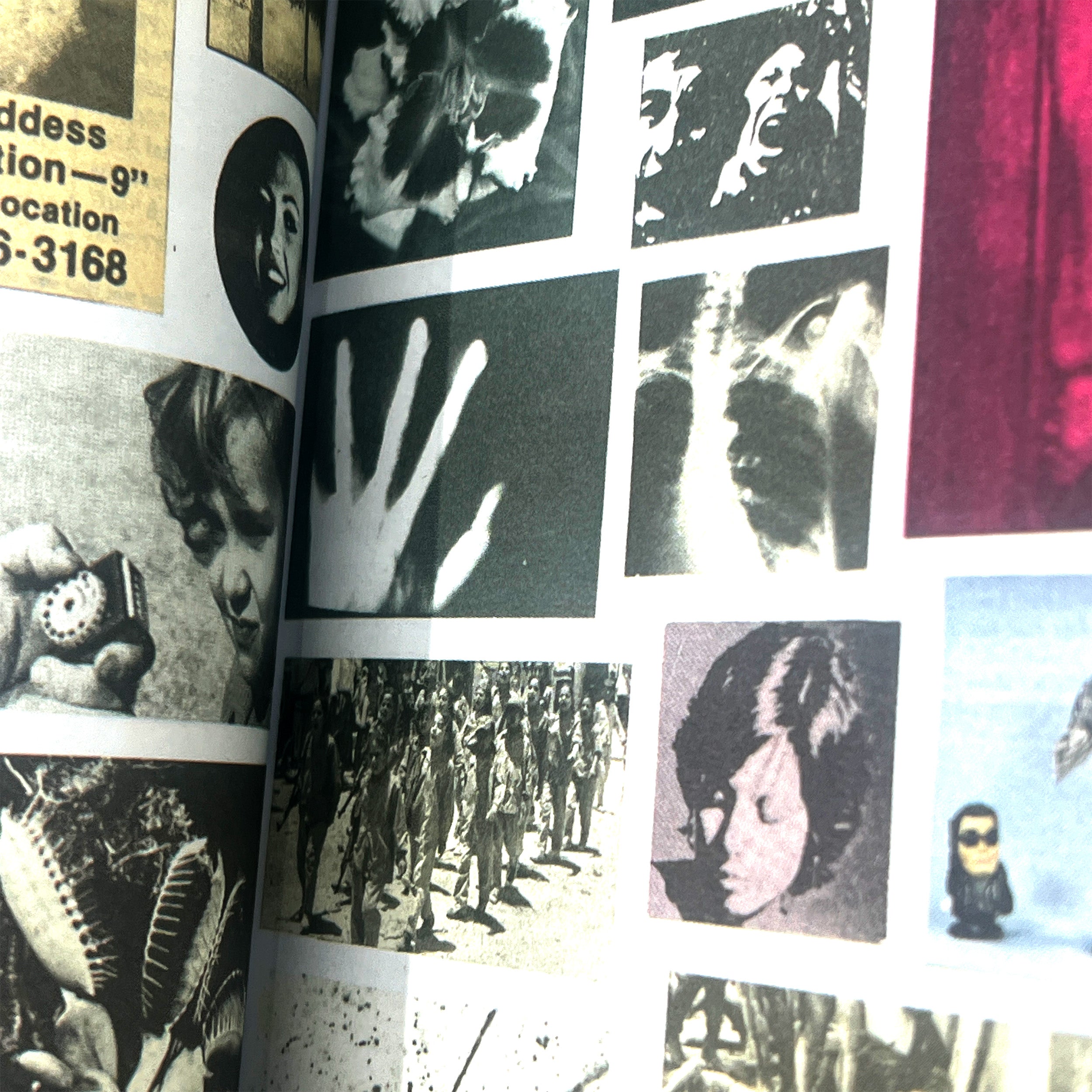 DAVE - FUCK THIS LIFE – Shelter Design Cultivation Project