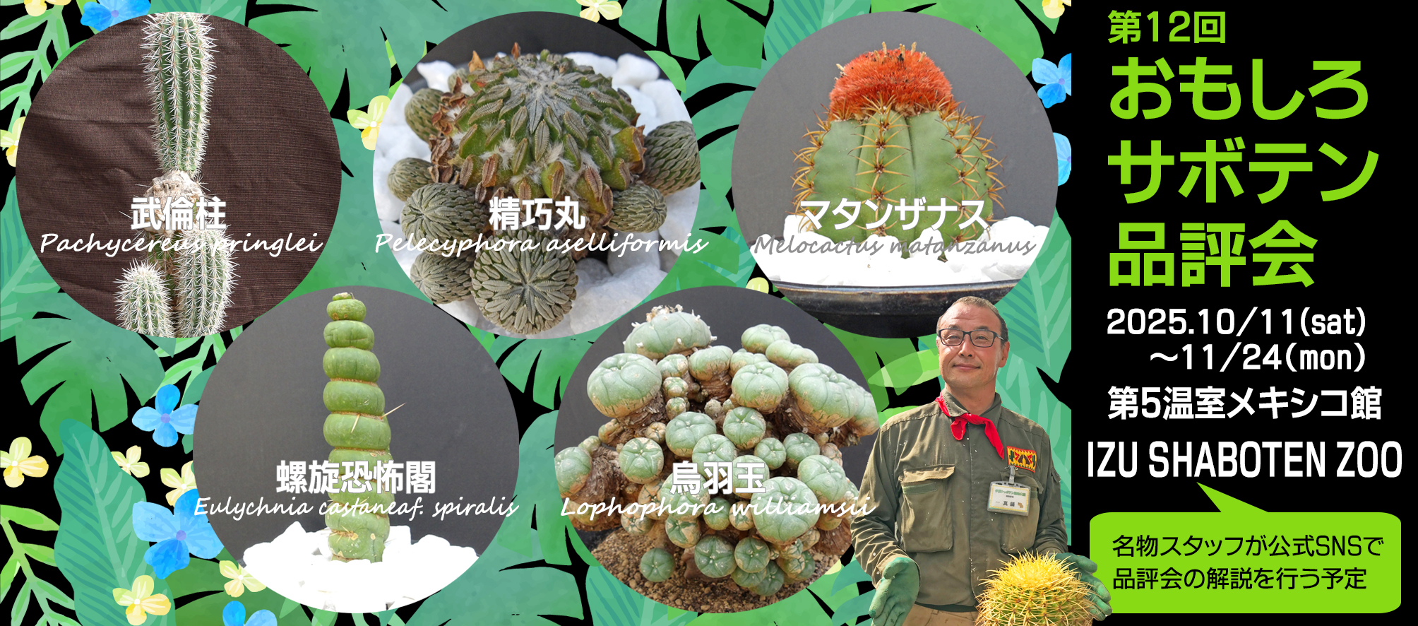 お気に入りのサボテンを選んで投票しよう♪「第12回 おもしろサボテン