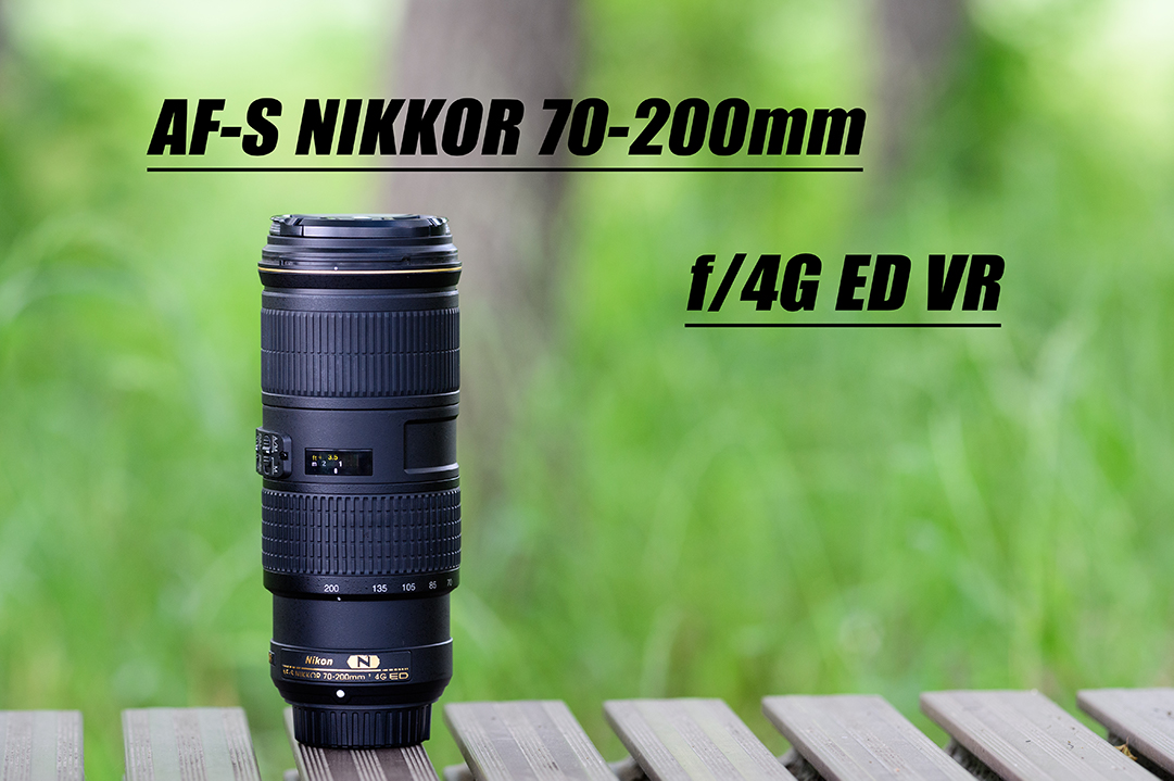 AF-S NIKKOR 70-200mm f/4G ED VR | Shades Of Heart