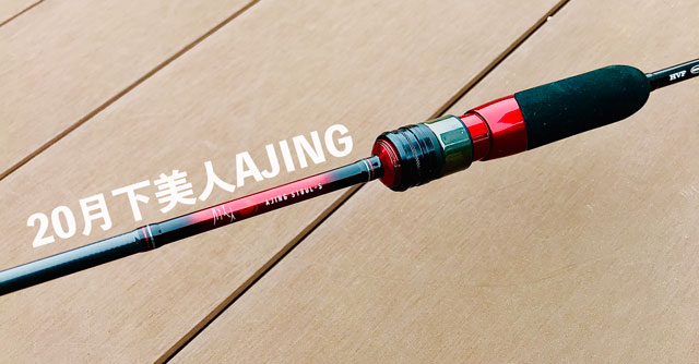 20月下美人アジング 510UL-S」をインプレ！これが1万円台かよ