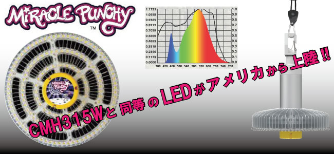 植物育成LEDライト MiraclePunchy ミラクルパンチー