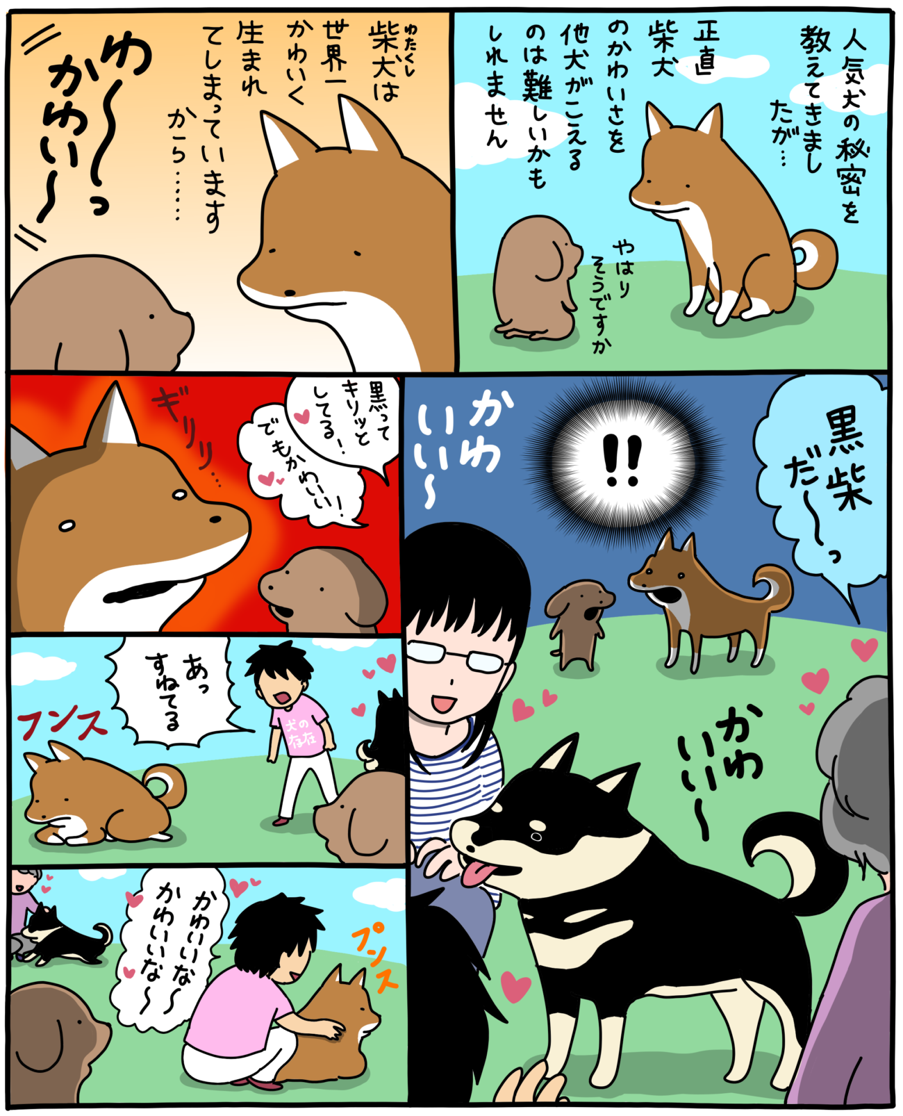 マンガ連載】こいぬと柴犬#9「黒柴の登場」作：うかうか | 柴犬ライフ