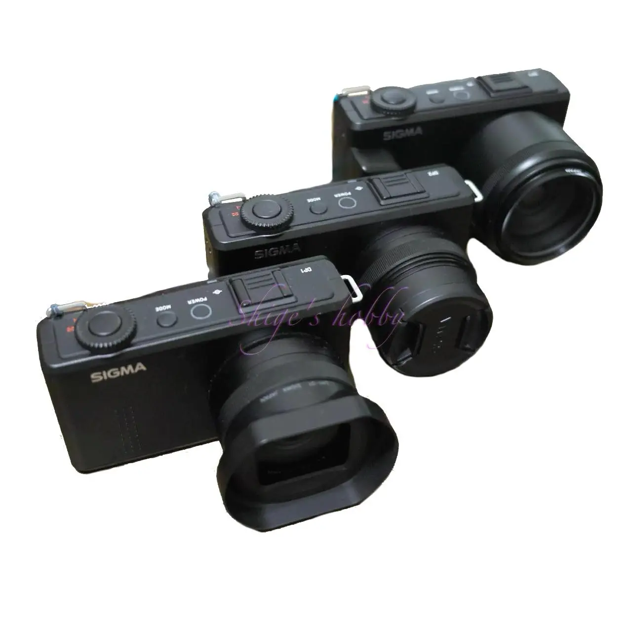 スナップシューターへの道半ば DP1 Merrill – Shige's hobby