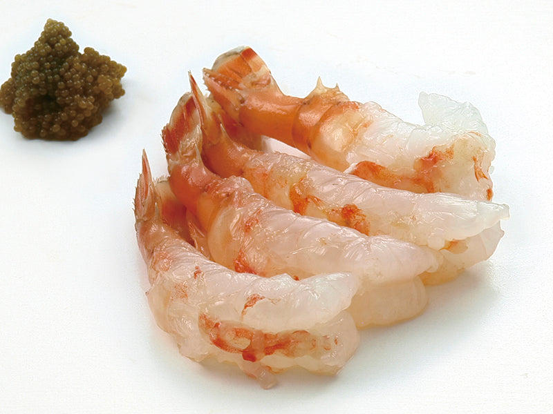 おにえび（日付指定不可） – 有限会社島田水産