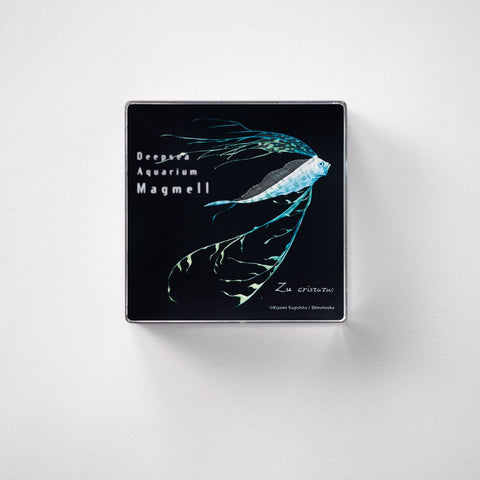 マグメル深海水族館』深海幼魚アクリルブロック（ユキフリソデウオ