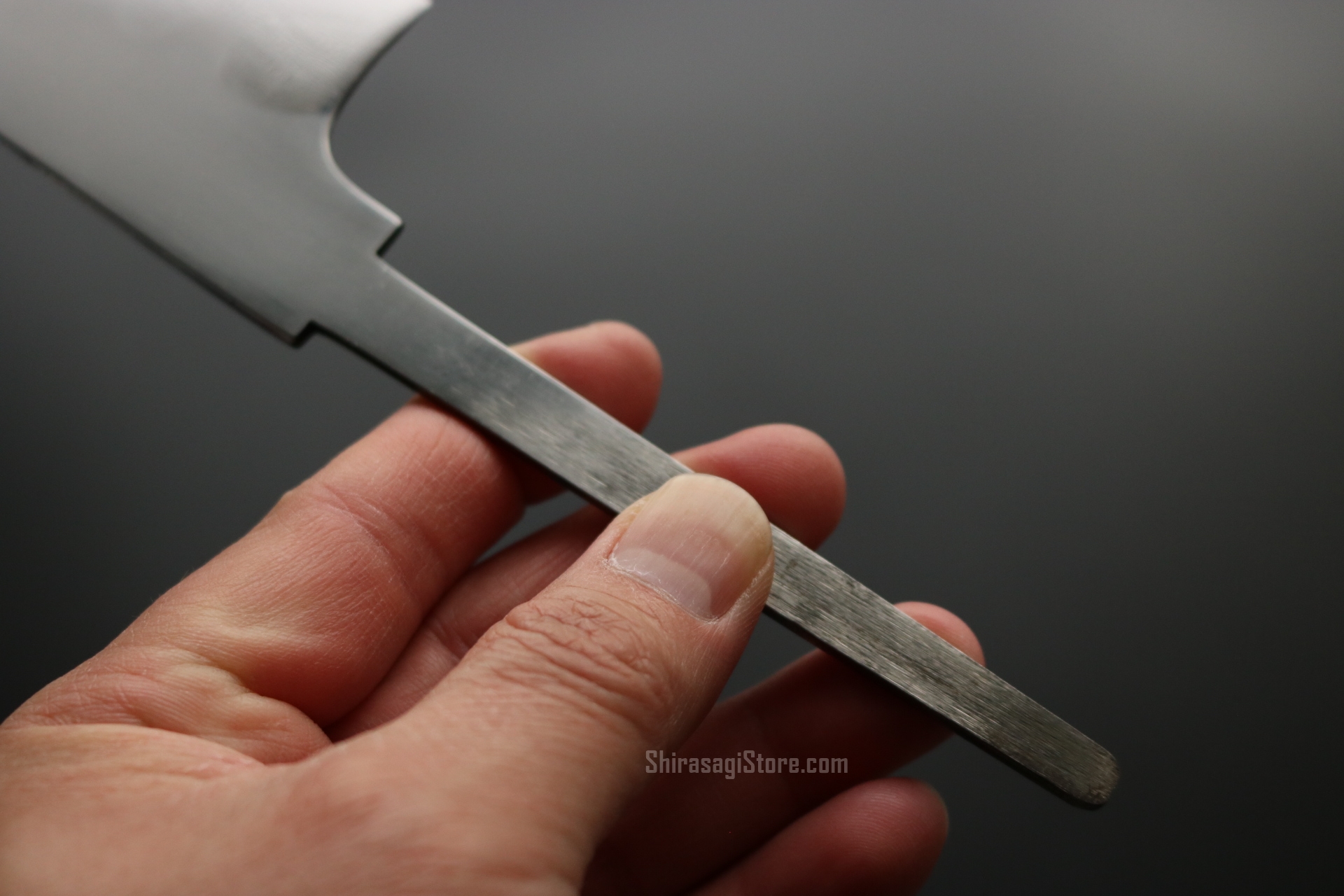 水野鍛錬所「源昭忠」本焼 和牛刀 デラックス 青二鋼 両鏡面 7寸