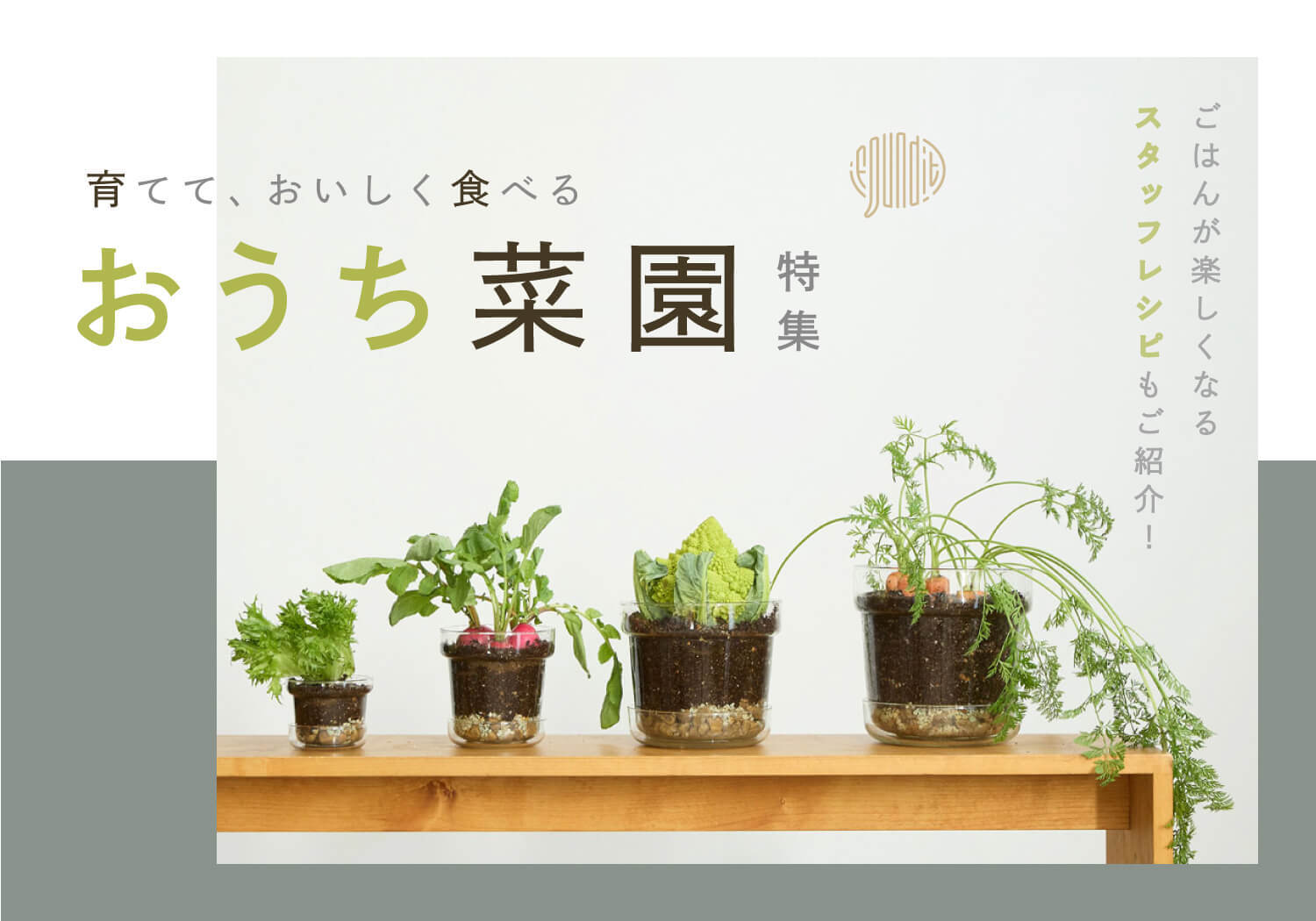 特集 | おうち菜園 | shesay(志成販売)｜インテリア・ファッション雑貨
