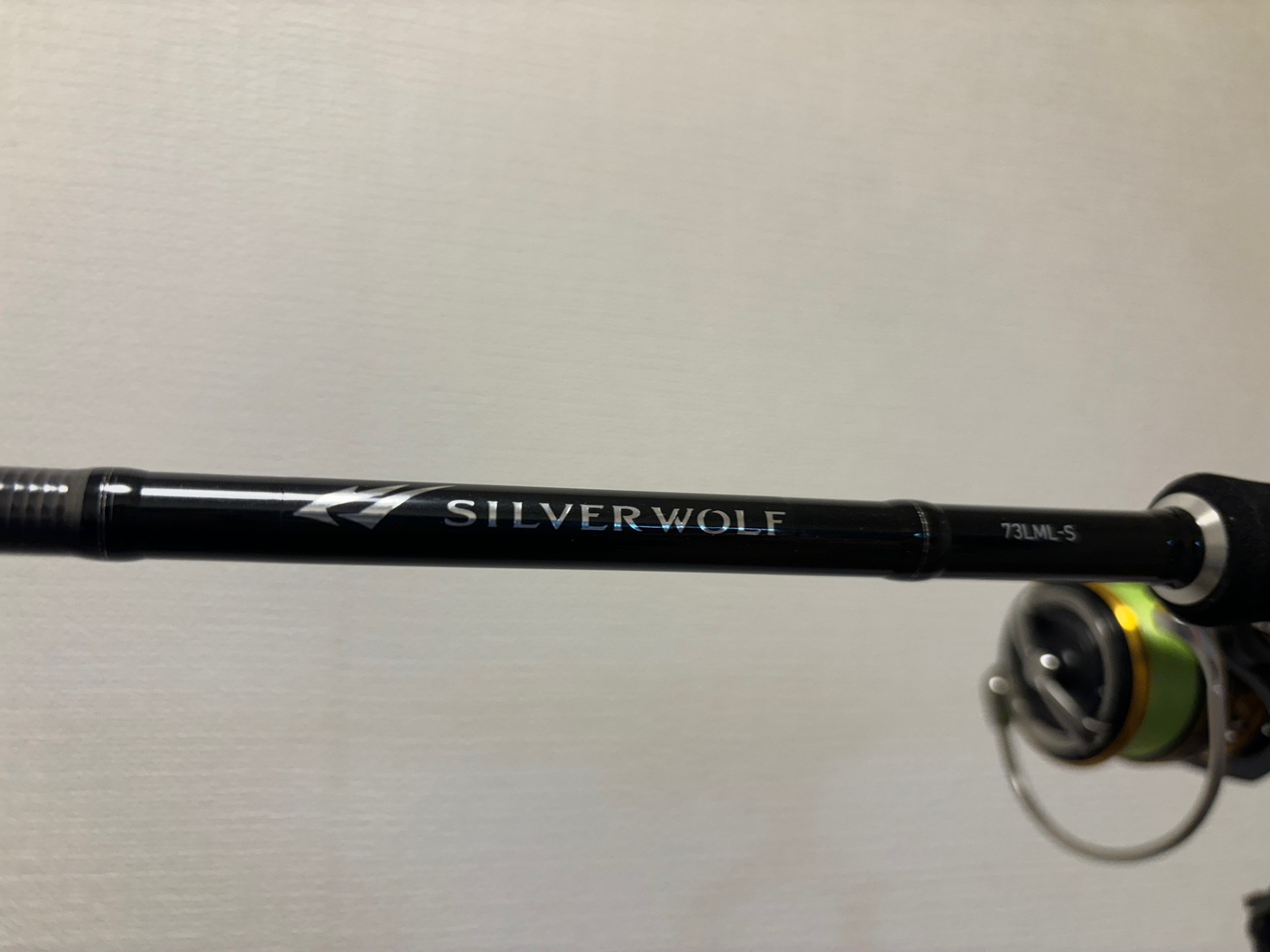 ダイワ シルバーウルフ】ライトロックで遊べる万能チニングロッド