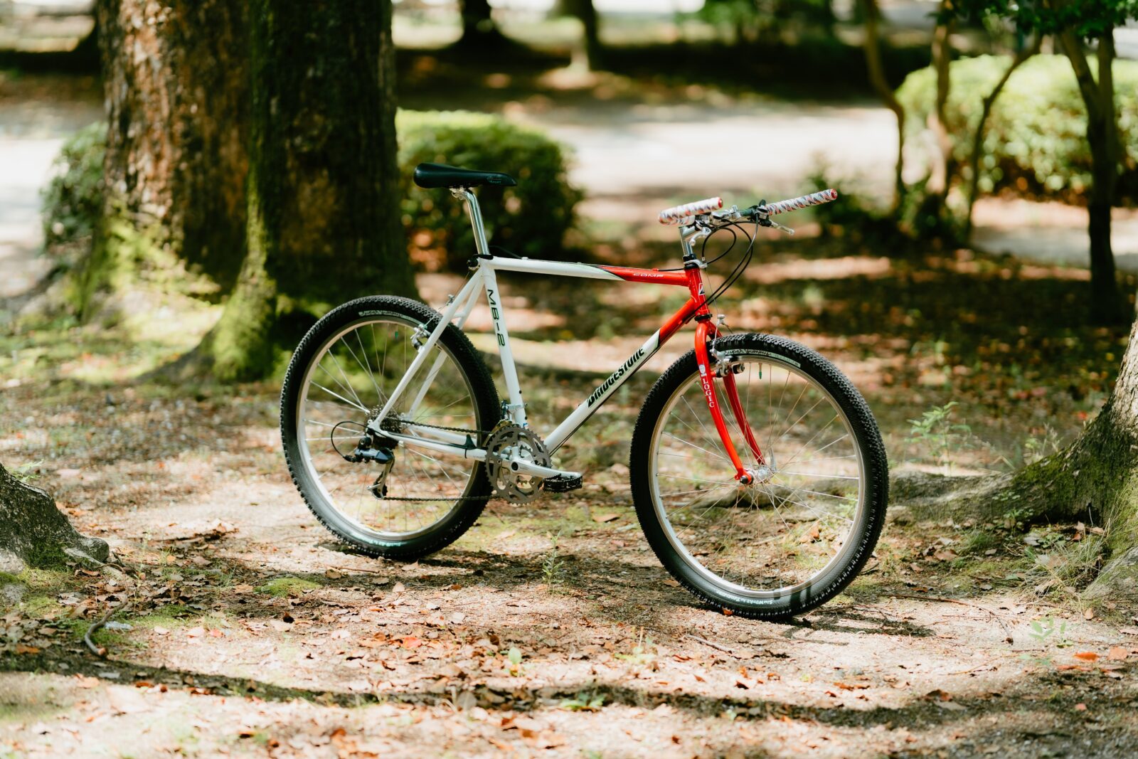 Remember California saga? – CALSAGA is BACK | SimWorks