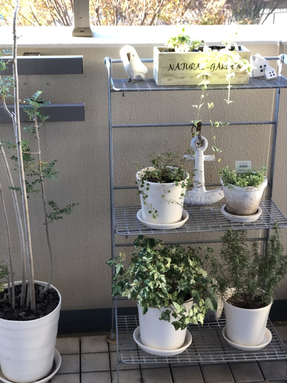 無印良品ガーデンシェルフ】でベランダを快適に | ここからくらし