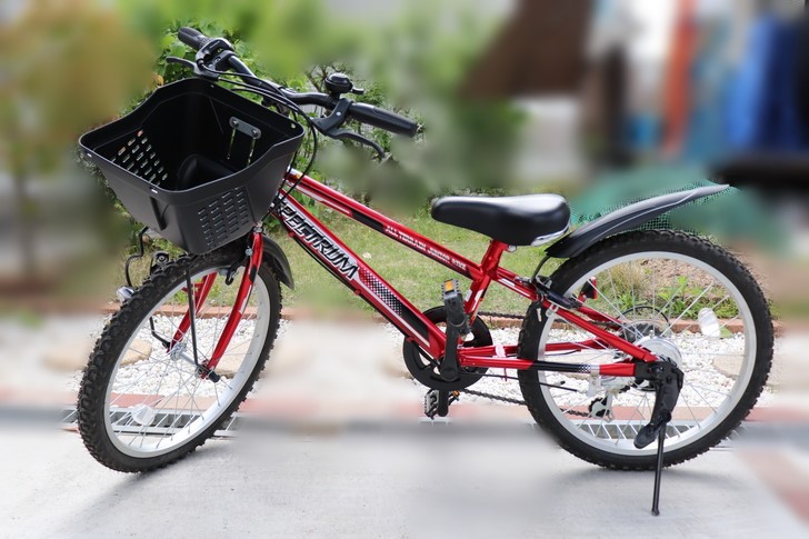 ダイワサイクルで子供自転車20インチ購入!!【6歳の男の子におすすめ