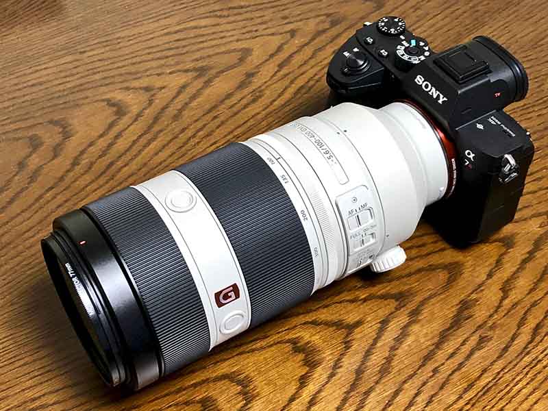 ソニーα7RIIIのエゾリス撮影レビュー：超望遠レンズFE100-400mmとの