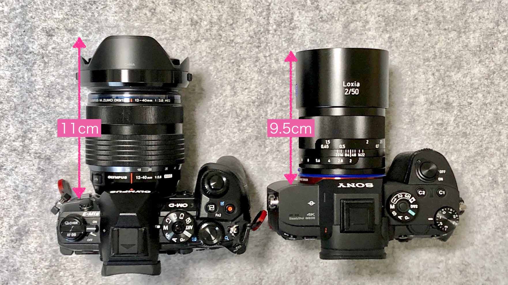 α7RIII用のスナップレンズ『Carl Zeiss Loxia 2/50』の大きさレビュー