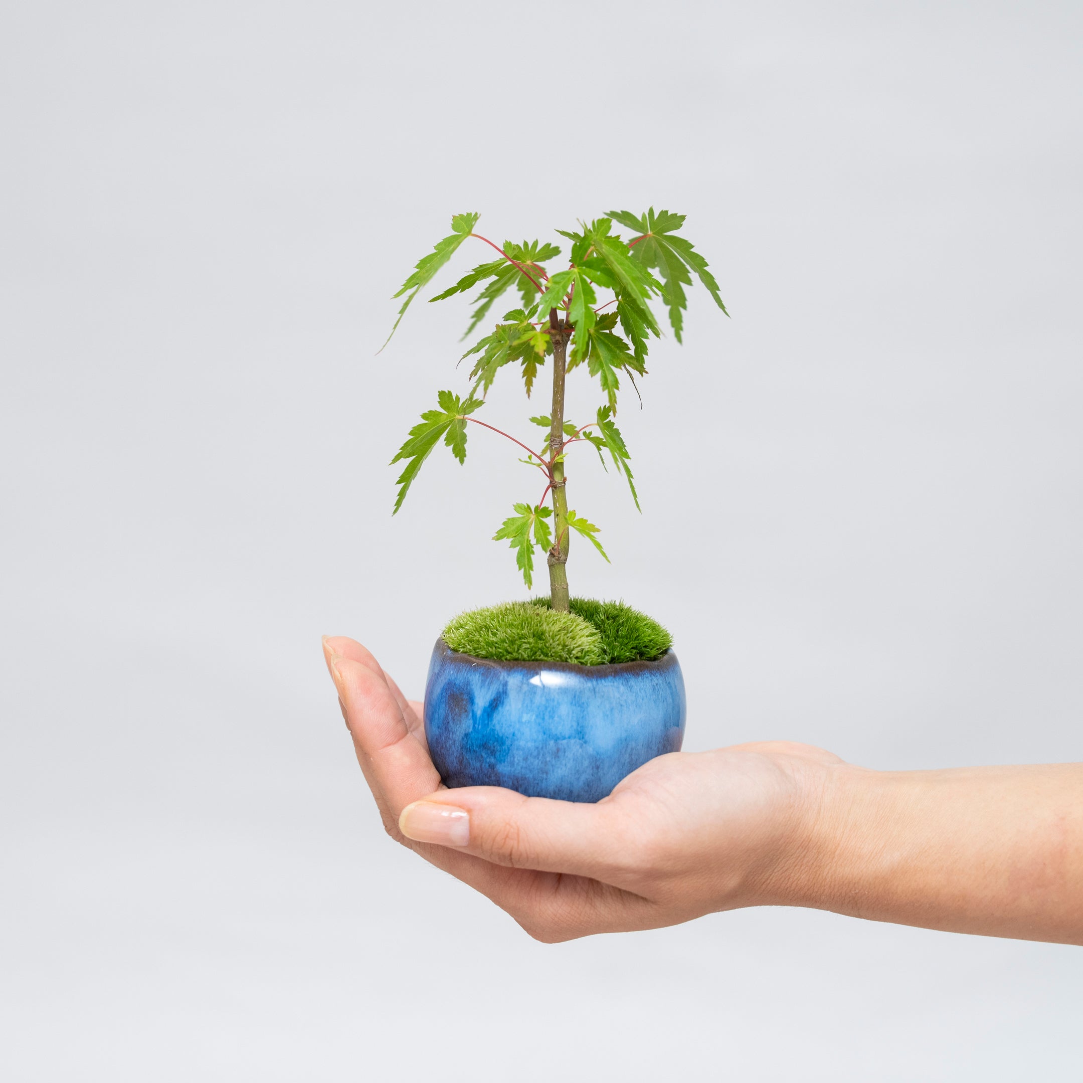 20250820__72-5.jpg?crop=center