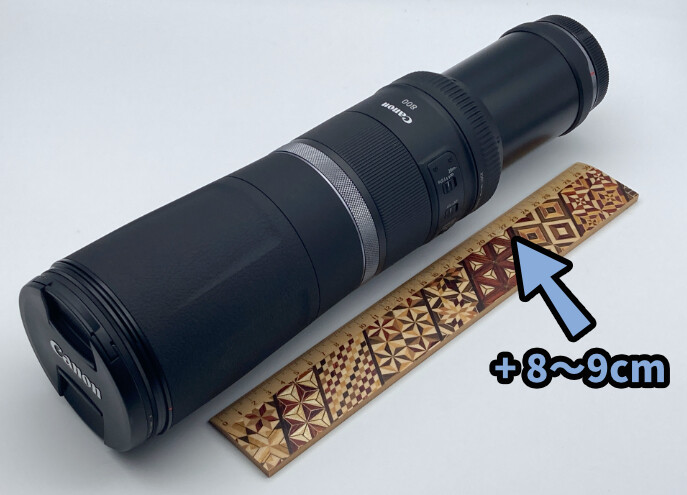 商品レビュー】Canon RF800mm F11 IS STMを使ってみた感想【野鳥,動物