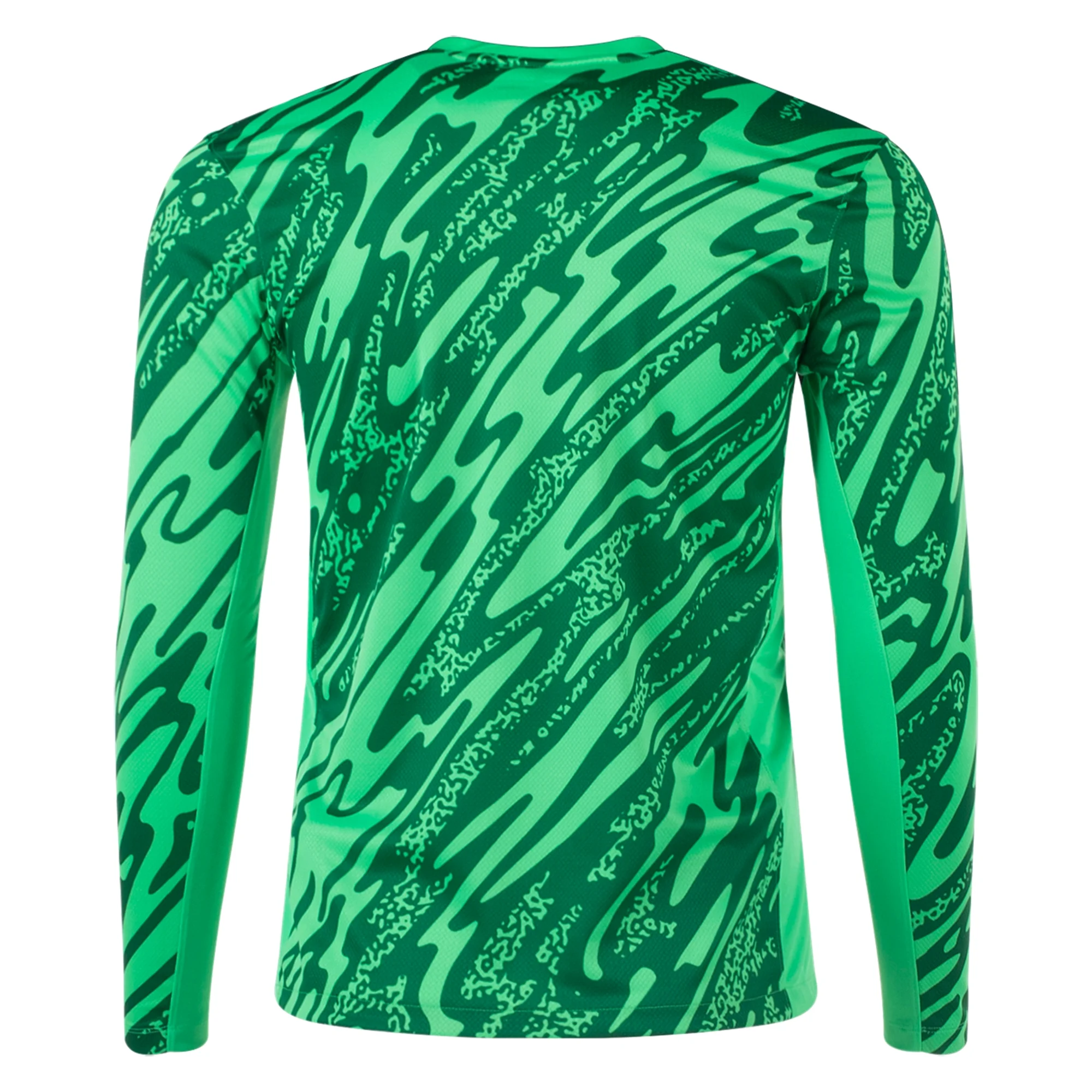 Nike Paris Saint-Germain Long Sleeve Goalkeeper Jersey 24/25 (Green Sp