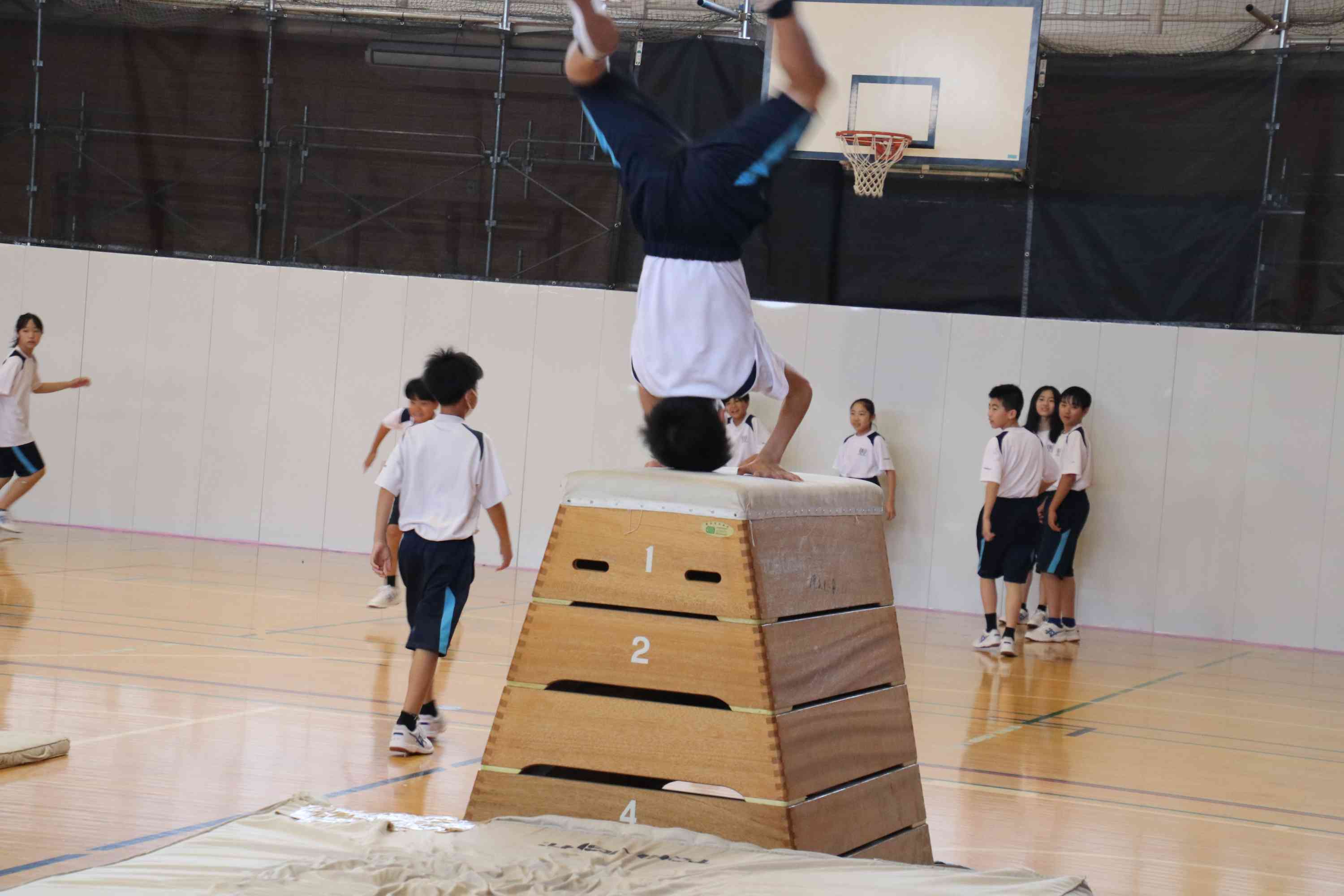 1年生跳ぶ！【保健体育 器械運動】 - 4.日常の様子 - ブログ(学校の