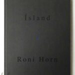 The Bad Son | Harmony Korine -SO BOOKS