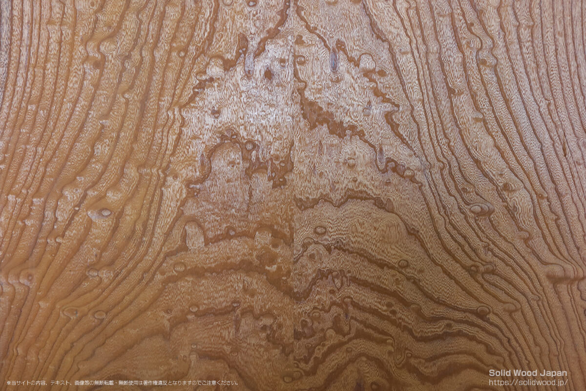 ケヤキタマモク（欅玉杢）の一枚板 | 無垢材とは | 一枚板比較