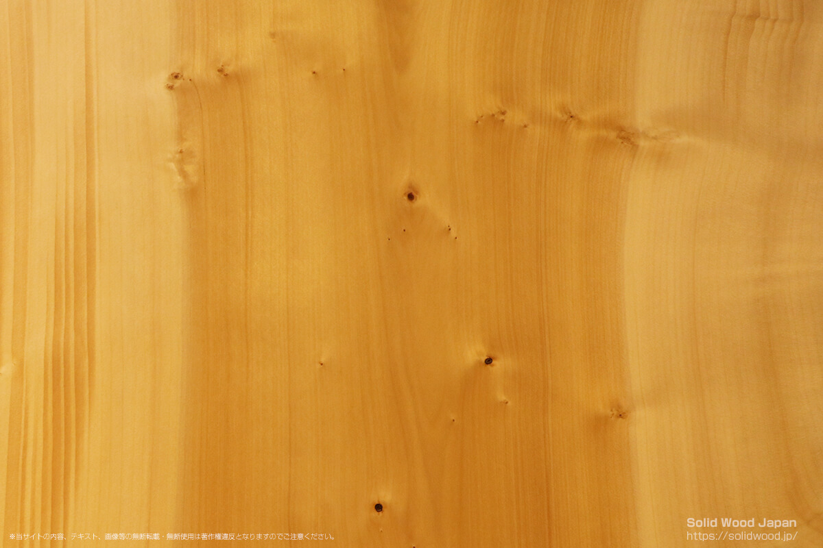 イチョウ（銀杏）の一枚板 | 無垢材とは | 一枚板比較