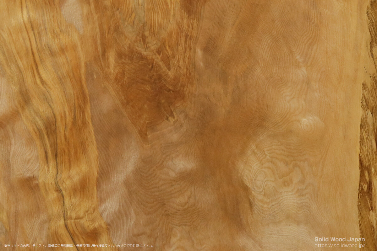 ミズメザクラ（水目桜）の一枚板 | 無垢材とは | 一枚板比較