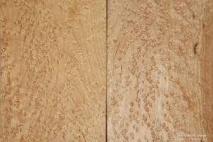 北米産の楓（かえで）メープル材に現れた鳥眼杢（ちょうがんもく