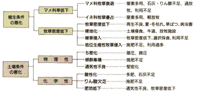 一般社団法人日本草地畜産種子協会