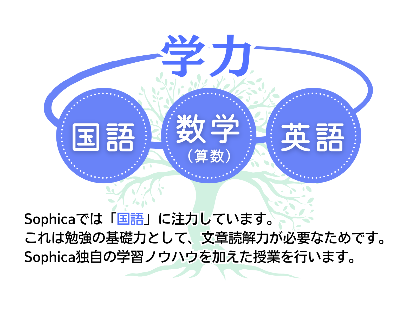 学力コース紹介 - 和歌山市の学習塾 Sophica