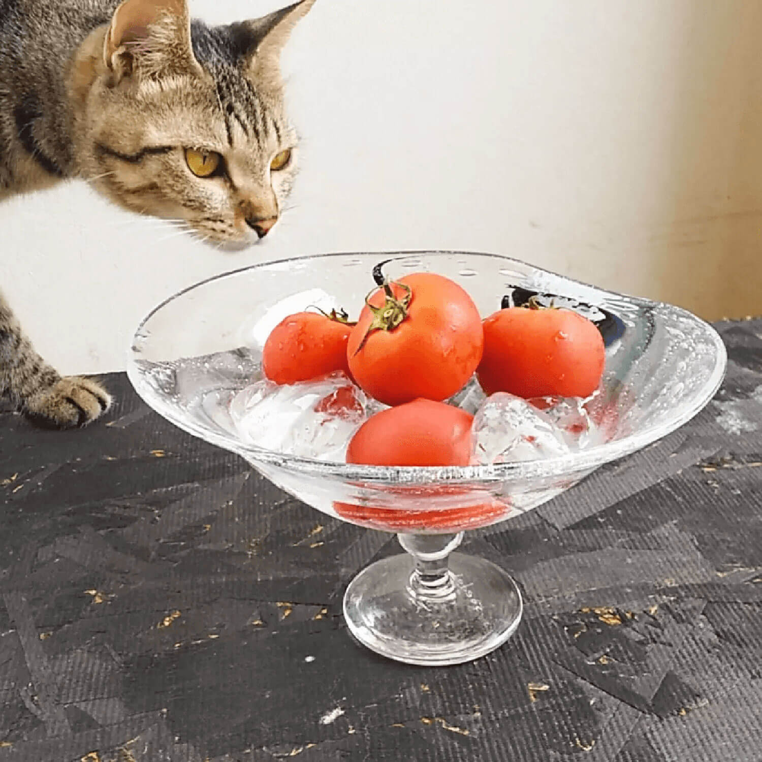 ガラス作家：添田亜希子：ペットの遺骨ガラス Soraca（そらか）