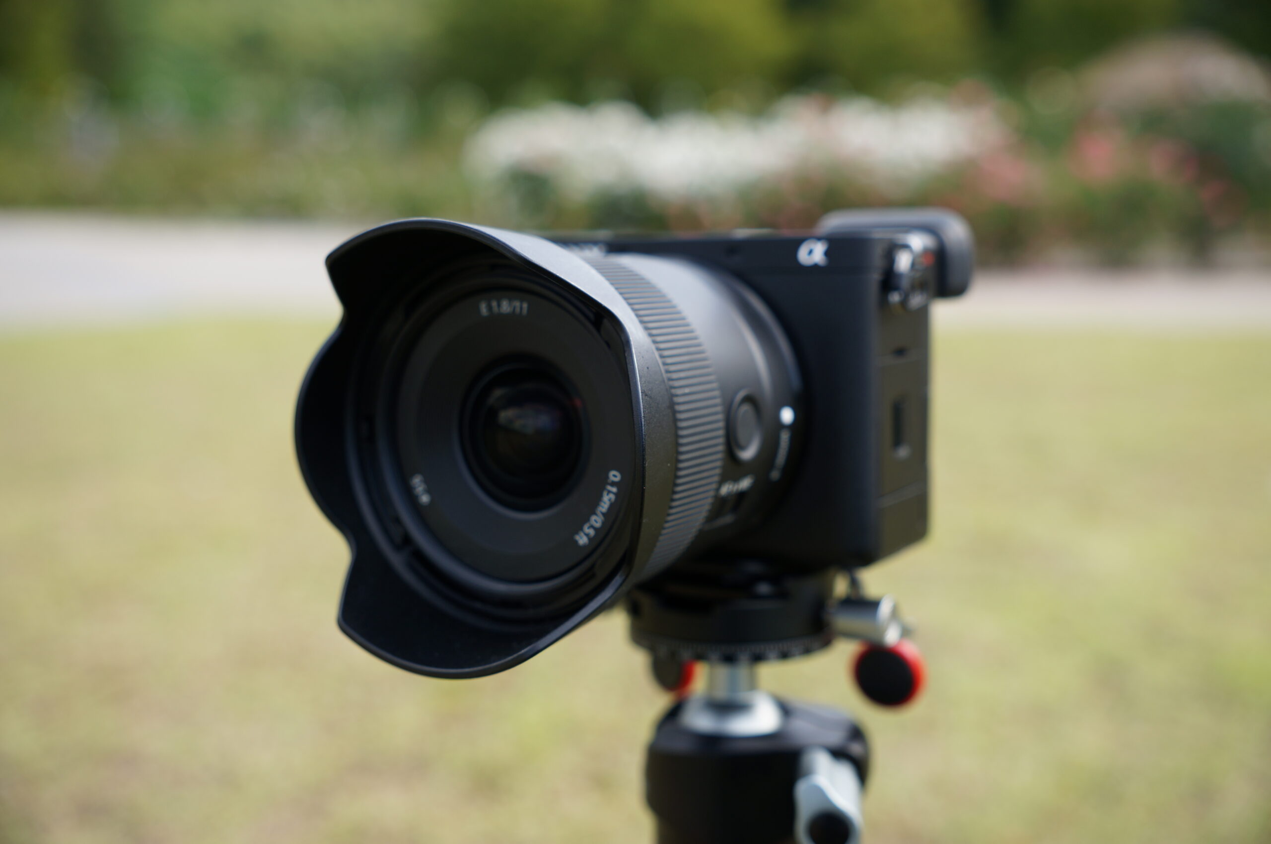 ソニーAPS-Cレンズ E11mm F1.8 ユーザーレビュー ~ ねこトラベラー