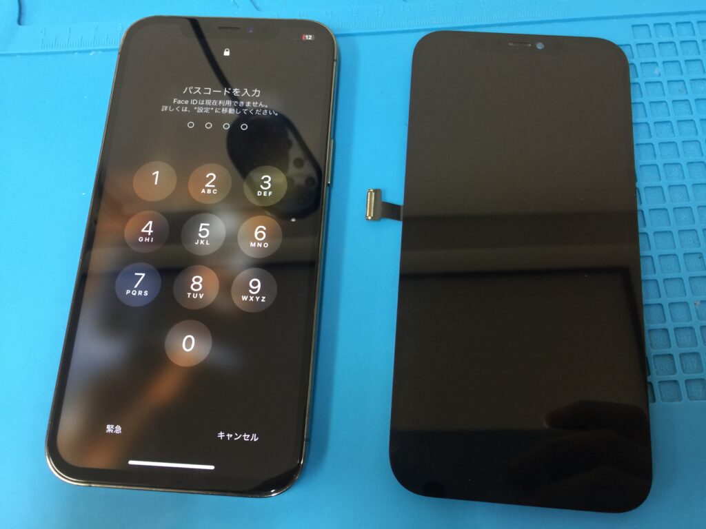 iPhone 12 Pro Max】ポケットにiPhoneを入れたまま川遊びをして水没し