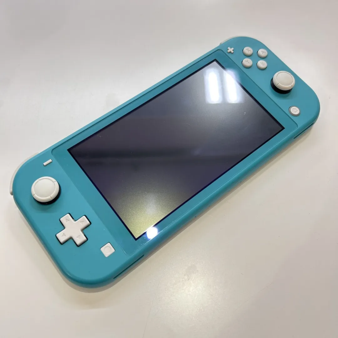Nintendo Switch Lite 青 不動 水没 Nintendo Switch Lite 青 不動