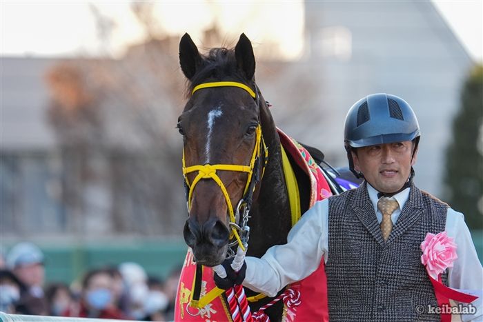 中山大障害】返り咲いた大輪！ニシノデイジーが2年ぶり2度目V | 競馬